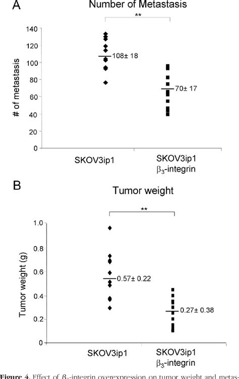 Figure 4 From Tumorigenesis And Neoplastic Progression 3 Integrin