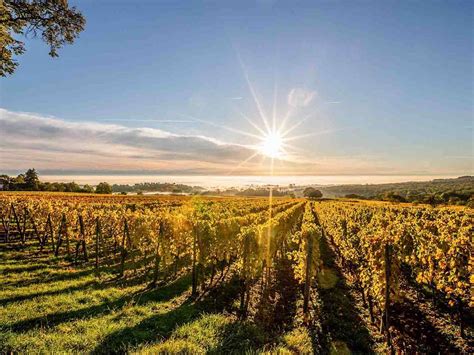 Sejour Avec Visite Et Degustation Au Chateau Pape Clement Pessac