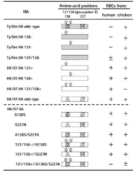 Figure 3 From The Index Influenza A Virus Subtype H5n1 Isolated From A