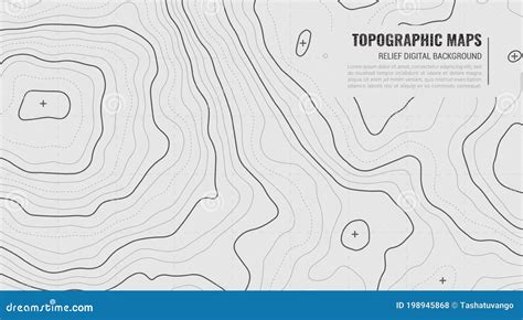 Stylized Height Of Topographic Contour In Lines Stock Vector Illustration Of Modern Area