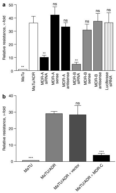 Relative Resistance To Doxorubicin In Multidrug Resistant Mdr Download Scientific Diagram