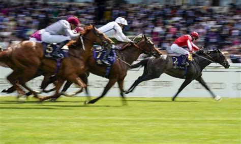 Robin Goodfellows Racing Tips Best Bets For Thursday July 1 Flipboard