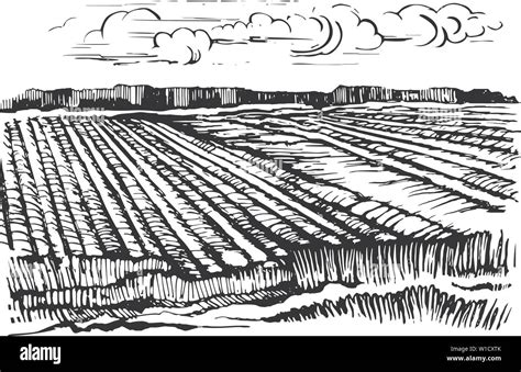 Farming Crops Drawings