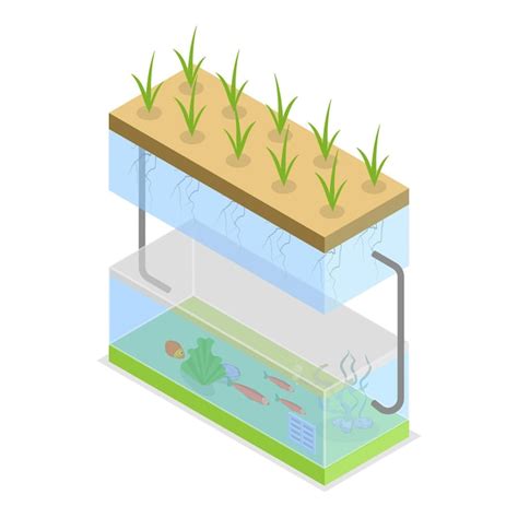 D Ilustraci N Isom Trica De Vectores Planos De Sistemas De Cultivo Y