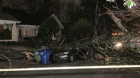 Large Tree Falls On Car Powerlines In Northeast Atlanta Youtube