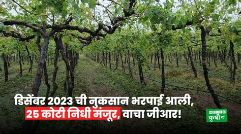 Unseasonal Rain डिसेंबर 2023 ची नुकसान भरपाई आली 25 कोटी निधी मंजूर वाचा जीआर Hello Krushi