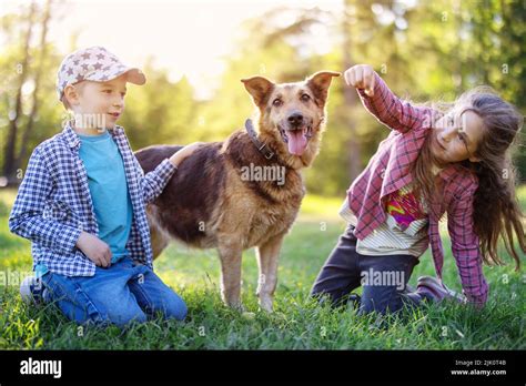 Children walking with a dog in nature Stock Photo - Alamy