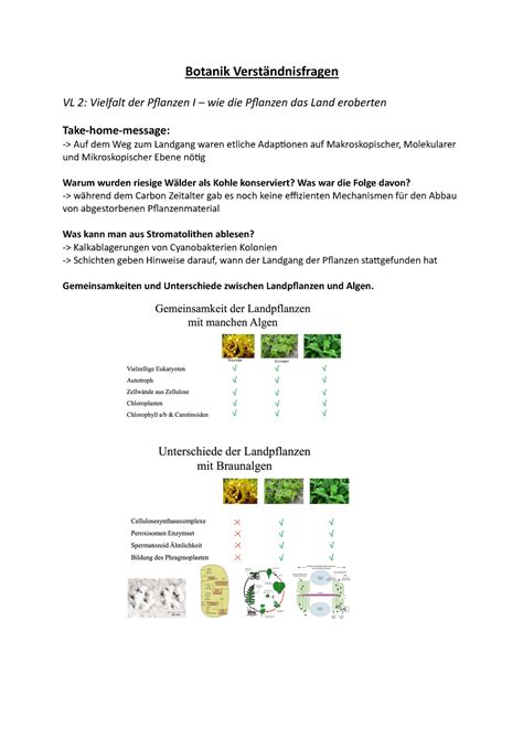 Botanik Zusammenfassung und Verständnisfragen Botanik