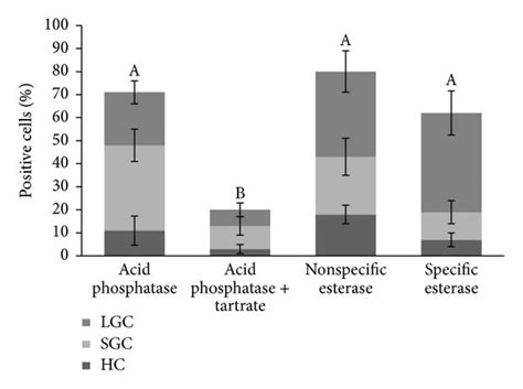 Enzyme Cytochemistry Of Adhered Hemocytes Isolated From Litopenaeus