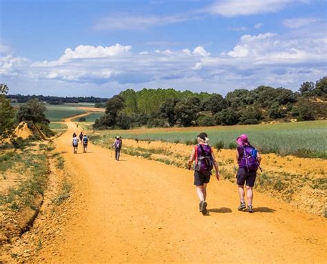 Camino de Santiago Pilgrimage Walking Tours in Spain