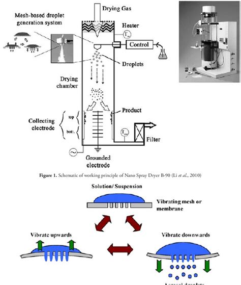 Figure 1 From Preparation Of Chitosan Nanoparticles By Nano Spray Drying Technology Semantic