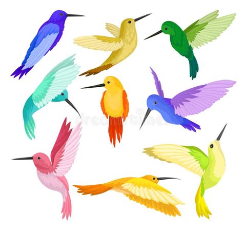 Sistema Plano Del Vector De Colibríes Con Plumaje Colorido Pájaro De