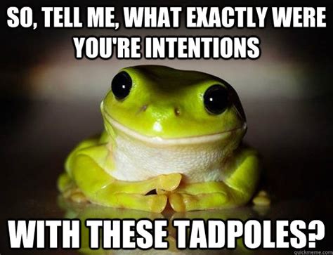 So Tell Me What Exactly Were You Re Intentions With These Tadpoles Fascinated Frog Quickmeme