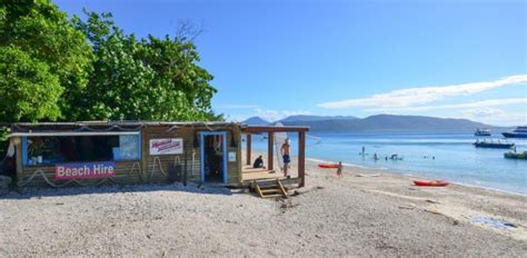 Charter Boat Cairns Fitzroy Island Tour Up To 300 Guests