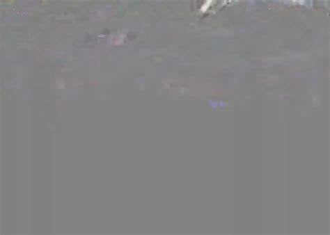 Big Brother Naked Pool Orgy