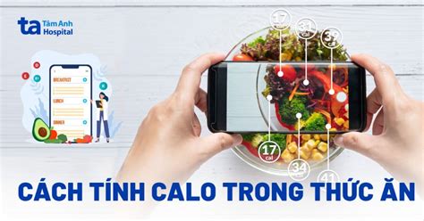 Cách Tính Calo Trong Thức ăn để Giảm Cân Hướng Dẫn Chi Tiết Và Hiệu