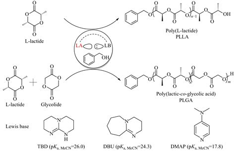 高热稳定lewis酸碱对催化l 丙交酯均聚及与乙交酯共聚的本体开环聚合研究