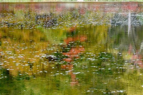 Abstract Harriman Park Reflection Stanley Zimny Thank You For