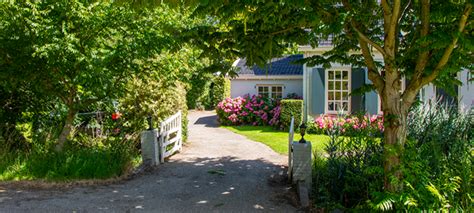 Calendrier Du Jardinier Mois Par Mois Nos Conseils Cmonjardinier