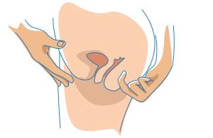 Anal Training An Illustrated Guide School Of Squirt