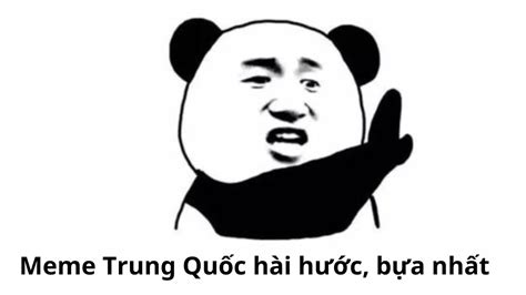 (Full) Meme Trung Quốc hài hước, bựa nhất (hải ly, gấu)