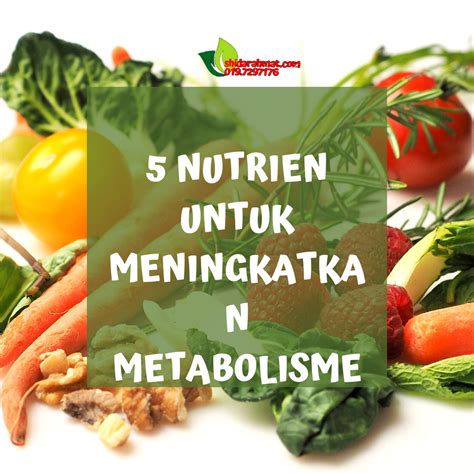 Cara Tingkatkan Metabolisma 11 Cara Meningkatkan Metabolisme Tubuh