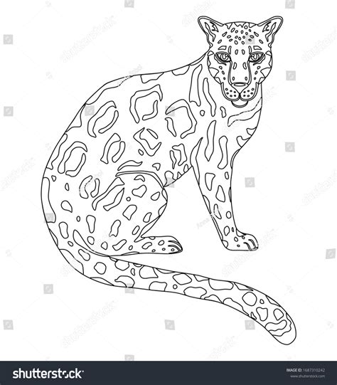 Vector Illustration Clouded Leopard Black White Stock Vector Royalty