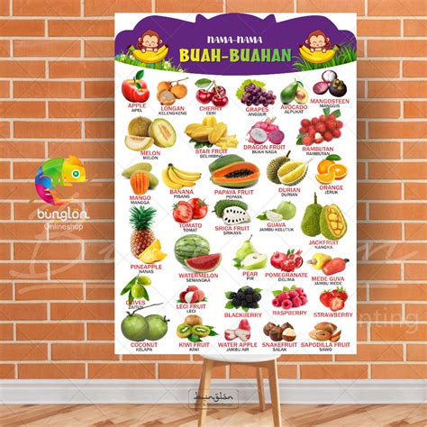 Jual Poster Edukasi Nama Buah Buahan Poster Peraga Pendidikan Shopee