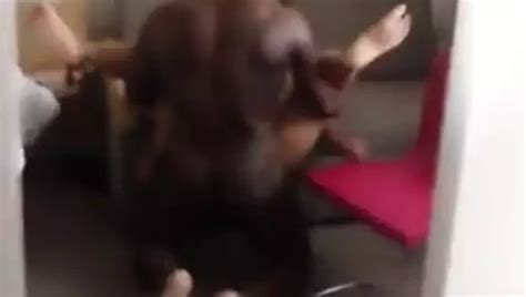 Desi London Cheating Wife Fucked Bbc Bangladeshi Dirty Talk Porn Xhamster