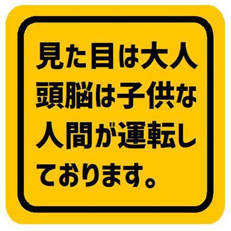 見た目は大人 頭脳は子供な人間が運転 カー マグネットステッカー 13cm マグネット Enterhouse 通販｜creemaクリーマ