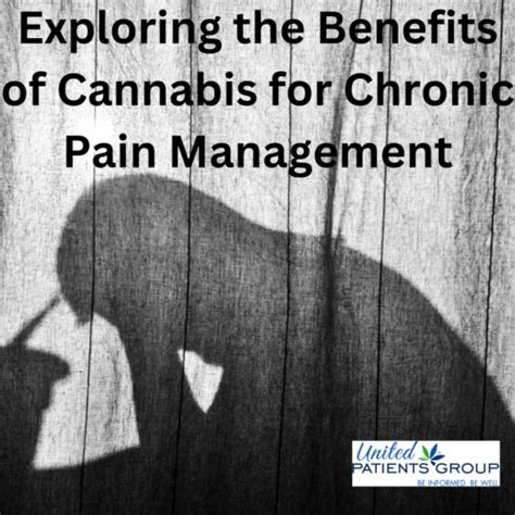 Exploring The Benefits Of Cannabis For Chronic Pain Management