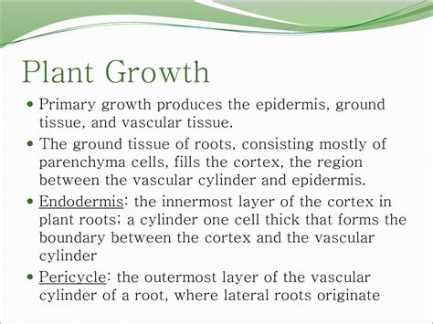 Plant Structure Growth And Development Ppt Download