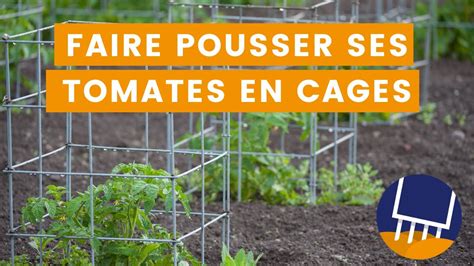 Comment Cultiver Des Tomates Dans Une Cage En Grillage Astuce Facile