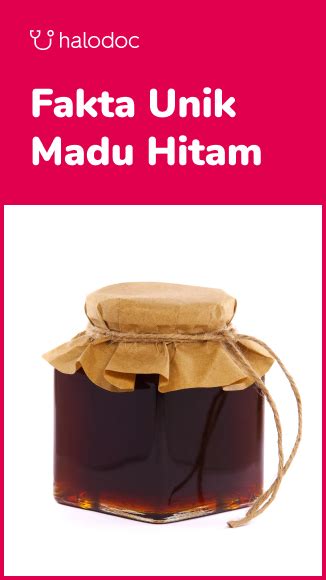 Inilah Manfaat Madu Hitam Bagi Kesehatan