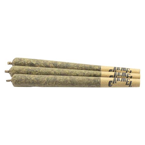 Infused Variety Pack [ 5g] Carmel 3 Pack Infused Pre Roll Jane