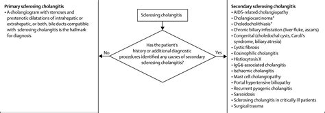 Primary Sclerosing Cholangitis The Lancet