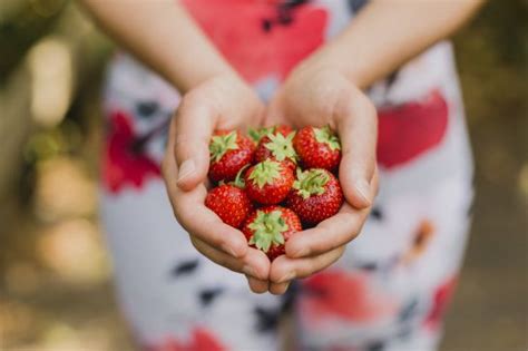 Diabetes Aquí te decimos las 10 frutas ideales para diabéticos