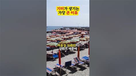 선크림을 발라야 하는 이유 😎 Youtube