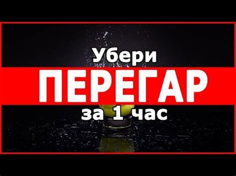 Сколько держится перегар и как от него быстро избавиться? (4 видео ...