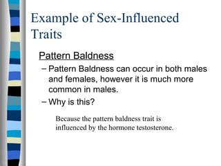 Sex Influenced Traits PPT