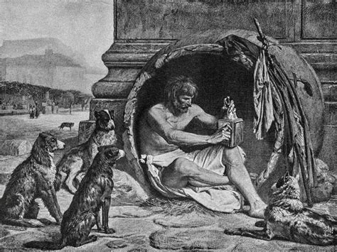 Por qué algunas personas deciden empezar a coleccionar cosas Diogenes