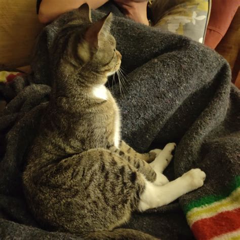 "Sit up straight" : r/AnimalsBeingDerps