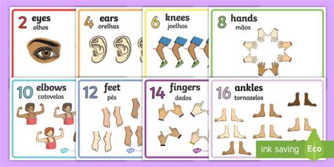 Body Parts Display Posters Counting In 2s English Portuguese Body Parts