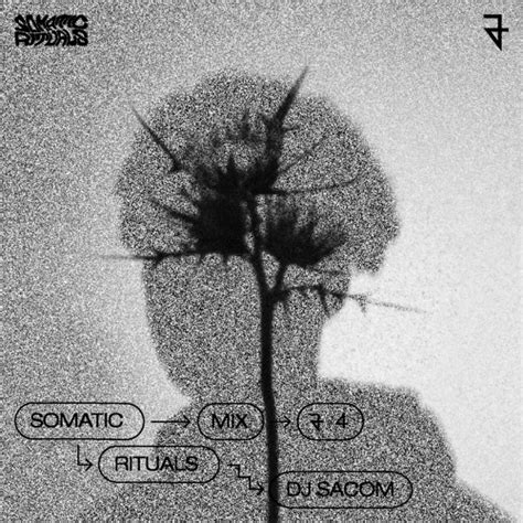 Stream Somatic Rituals Listen To Somatic Rituals Guestmixes Playlist