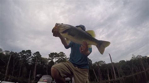 Fishing In A Flooded Forest Lake Naconiche Youtube