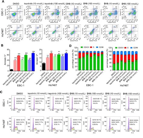 D10 And D15 Induced Cell Apoptosis And G1 Cell Cycle Arrest