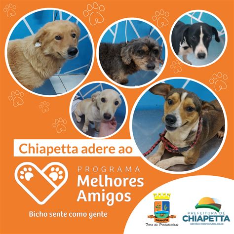 Chiapetta Adere Ao Programa Melhores Amigos Prefeitura Municipal De