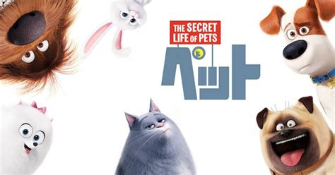 映画【pet ペット 】のキャラクターやあらすじ、吹替声優、動画配信情報など見どころ紹介！