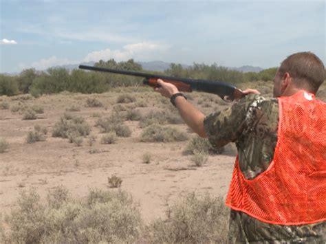 Arizona Dove Hunting Season Starts