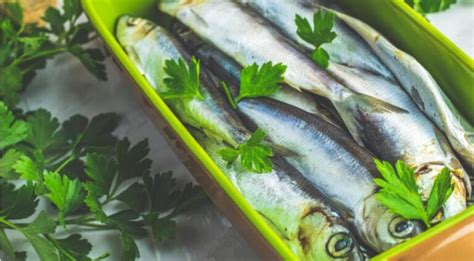 Как просто и вкусно приготовить недорогую рыбную мелочь: сайру и салаку ...
